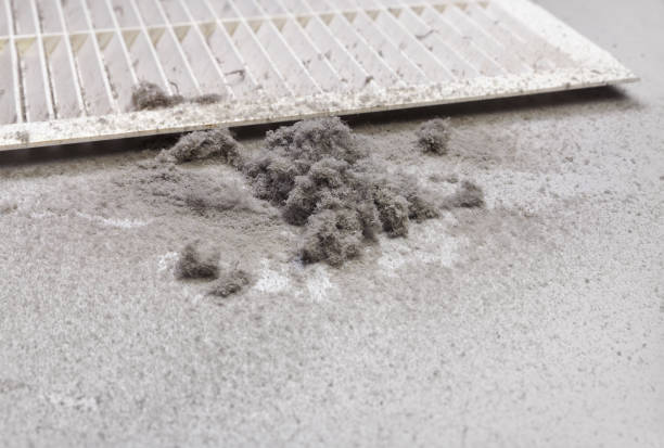 Best Affordable HVAC Duct Cleaning  in Kennett, MO