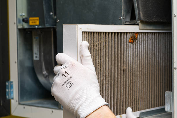 Best Professional Duct Cleaning Services  in Kennett, MO