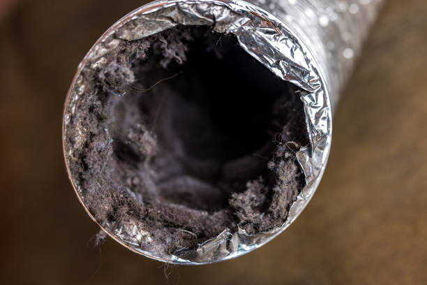 Best Home Air Vent Cleaning  in Kennett, MO